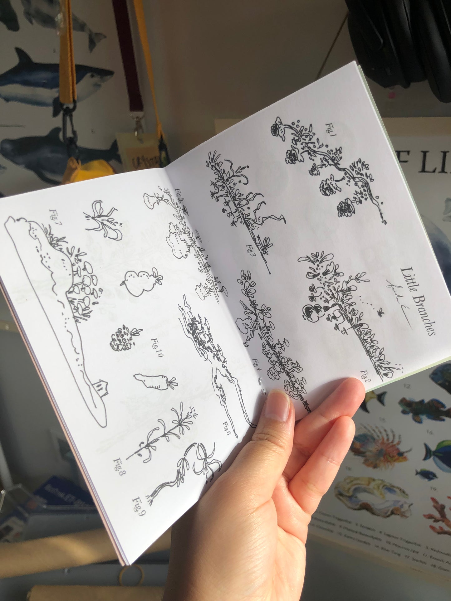 Wildlings Zine - A handmade Product by Freda.E of Little Forest Shop (LFSO)