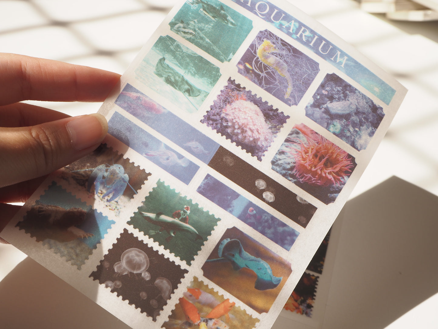 Aquarium sticker images. Colourful Coral stickers. Peel and rub it down to transfer onto surface!