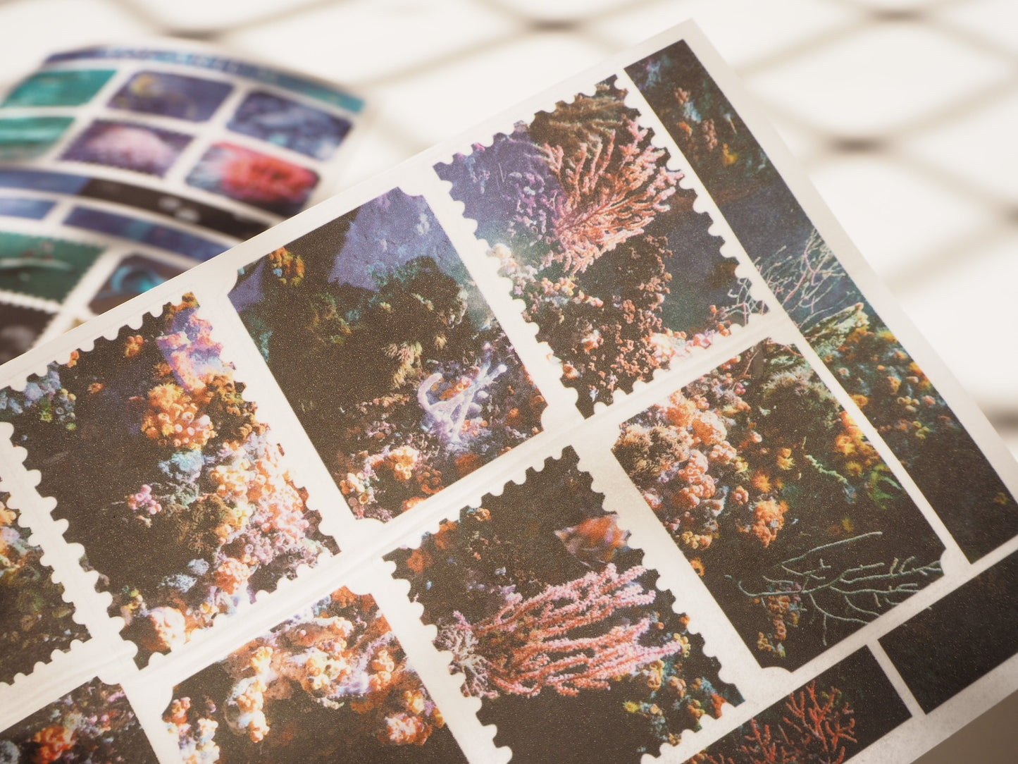 Aquarium sticker images. Colourful Coral stickers. Peel and rub it down to transfer onto surface!
