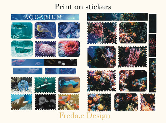 Aquarium sticker images. Colourful Coral stickers. Peel and rub it down to transfer onto surface!