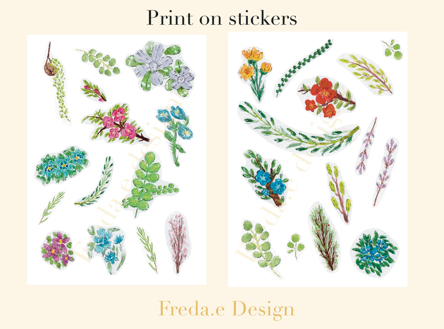 Goauche Flowers- Rub-on Stickers/ Transfer Stickers006 and 007 (LFSO)