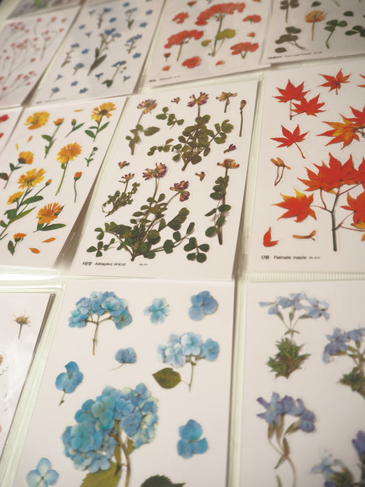 PET clear Flower stickers or various species