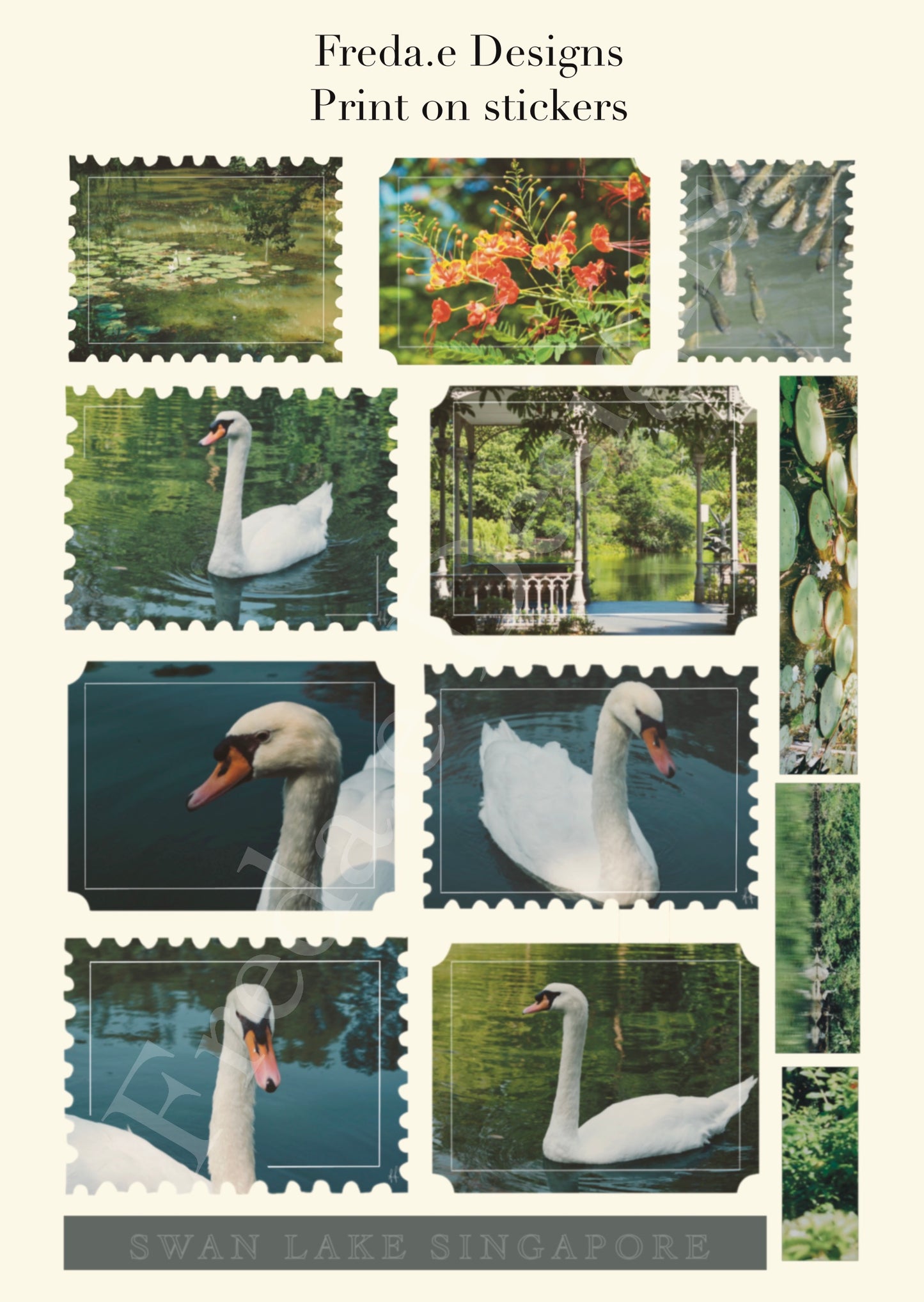 Swan Lake - Rub-on Stickers/ Transfer Stickers 002 (LFSO)
